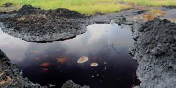 Report: Nigeria requires $12 billion over 12 years for Bayelsa oil spills clean-up