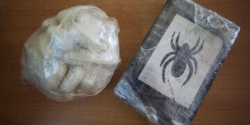 Drug abuse above global averages in West and Central Africa