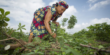 Women forced to trade sex for land rights, global research finds