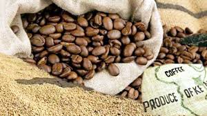 Kenya’s coffee exports surge 12% in 2024
