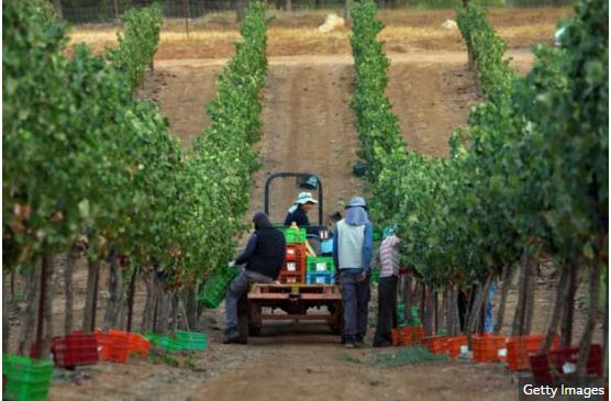 Malawi plans to send 5,000 youth to Israeli farms despite criticism