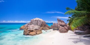Seychelles virus-free with full recoveries, no mortality