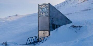 Ghana deposits vital crop seeds in Arctic doomsday vault for food security
