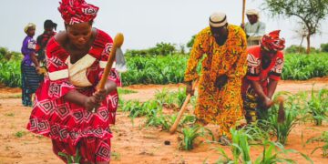 Seed sovereignty drives Sahel unity