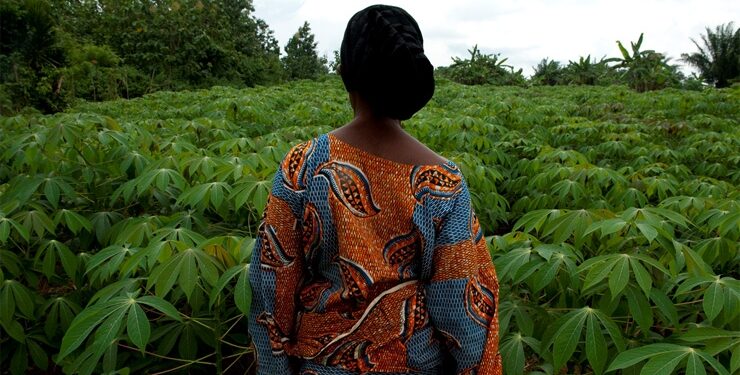 AfDB and ECOWAS Bank for Investment and Development partner to boost West African agriculture