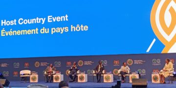 Experts discuss leveraging Africa’s youth for sustainable growth