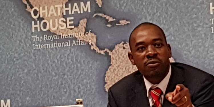Zim needs democracy not managed stability, Chamisa tells Brits