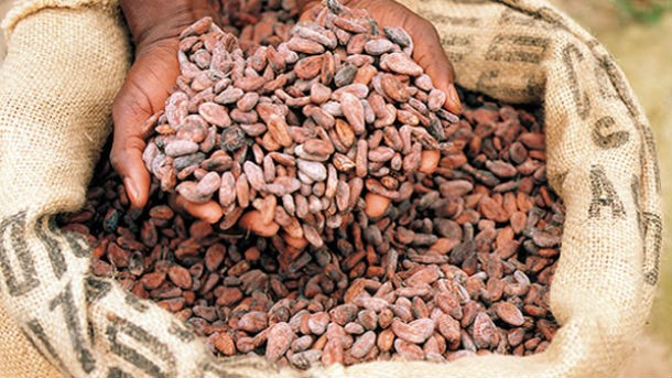 Ghana, Cote d’Ivoire make history by dictating cocoa price