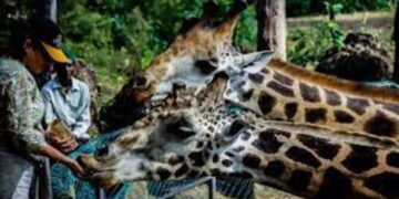 East Africa wins big at the World Travel Awards