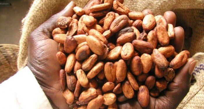 Ghana, Cote d’Ivoire mull buffer-stocking to firm cocoa price