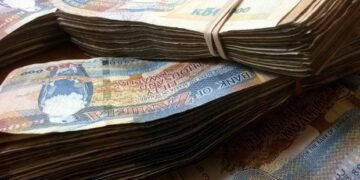 Audit exposes 9,800 ghost workers in Zambia’s public service