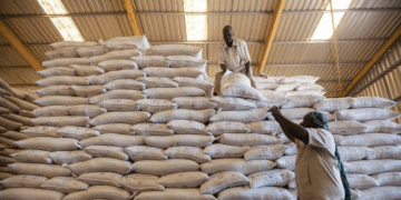 WFP chief puts hold on Sudan aid operations, following death of 3 staff in unrest
