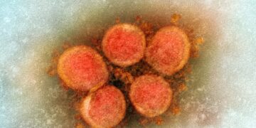 Africa has contained monkeypox outbreaks during Covid pandemic – Africa CDC