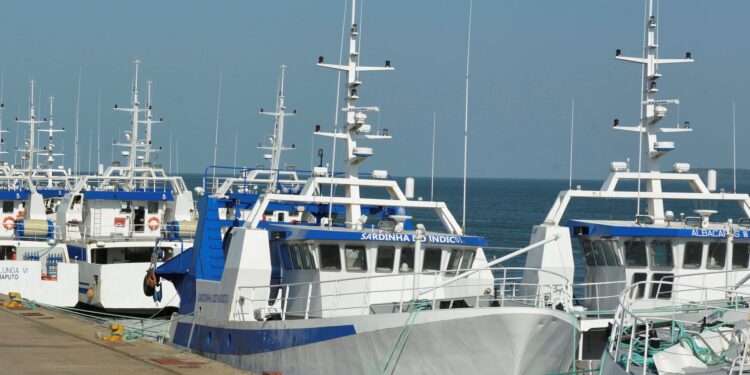 Mozambique granted right to sue Privinvest in UK for ‘tuna bond’ scandal ahead of London trial