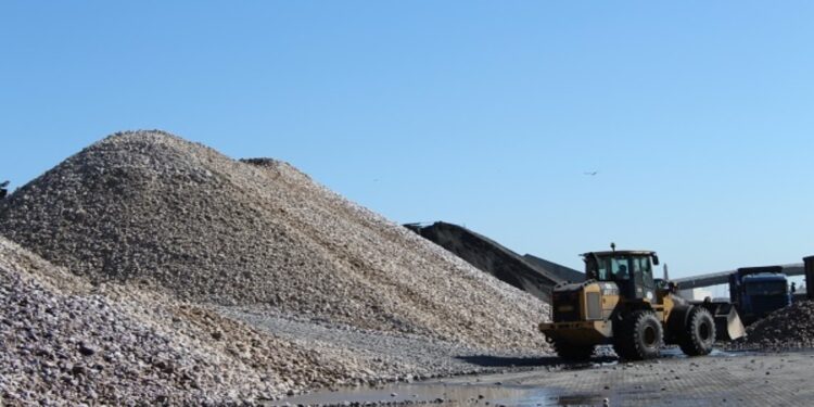 Namibia bans export of unprocessed lithium and critical minerals to harness clean energy demand