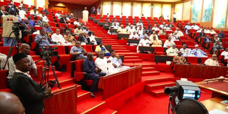 Nigeria women rally for special seats