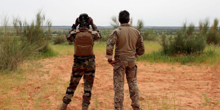 Mali asks Denmark to ‘immediately’ withdraw its troops