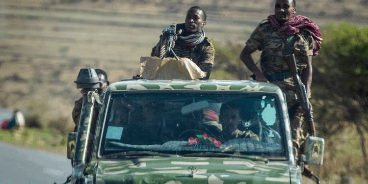 Ethiopia’s Tigray rebels agree to ‘ceasefire in principle’ but set strict conditions