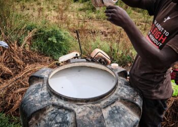 Farm workers in Kenya spray crops with protective gear amid concerns over EU-exported banned pesticides harming health and ecosystems