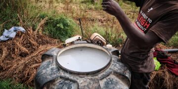 Farm workers in Kenya spray crops with protective gear amid concerns over EU-exported banned pesticides harming health and ecosystems