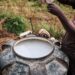 Farm workers in Kenya spray crops with protective gear amid concerns over EU-exported banned pesticides harming health and ecosystems