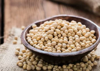 Bowl of soybeans highlighting Africa’s growing soybean import market and rising demand for vegetable oils and animal feed.