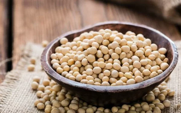 Bowl of soybeans highlighting Africa’s growing soybean import market and rising demand for vegetable oils and animal feed.