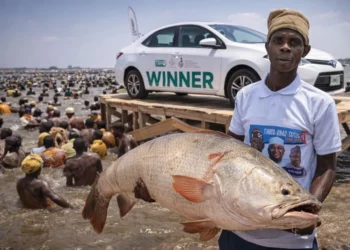 Winner of Nigeria’s Argungu Fishing Festival holds a 59kg fish as crowds gather in the Matan Fada River, Kebbi State