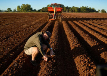 Farmer inspects soil on cultivated farmland in Zimbabwe as agriculture sector rebuilds after land reform disruptions
