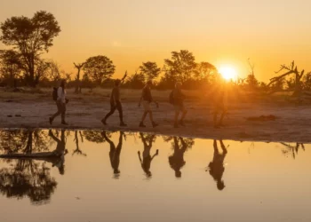 Safari guides walking at sunset along a waterhole in northern Botswana, with trees and their reflections mirrored in still water
