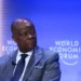 A senior Nigerian government official in a grey suit speaking during a panel session at the World Economic Forum, seated against a blue backdrop with the event logo visible