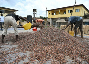 Cote d’Ivoire cocoa piles up unsold, farmers hit
