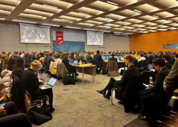 Financial Action Task Force plenary meeting discussing global cyber-enabled fraud risks and anti-money laundering measures