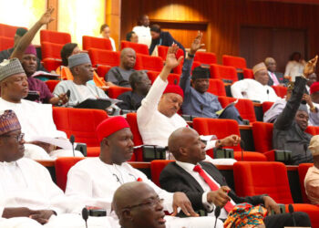 Nigerian lawmakers voting during a plenary session in the National Assembly in Abuja