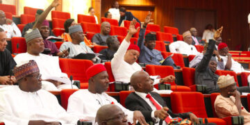 Nigerian lawmakers voting during a plenary session in the National Assembly in Abuja