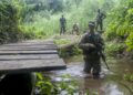 French and Ghana Armed Forces soldiers conduct jungle warfare training in dense forest terrain during anti-galamsey preparedness exercises in Ghana