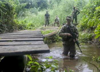 French and Ghana Armed Forces soldiers conduct jungle warfare training in dense forest terrain during anti-galamsey preparedness exercises in Ghana