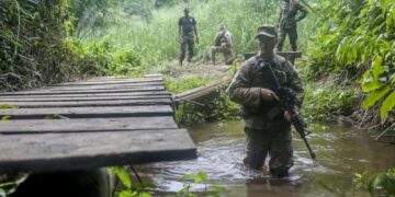 French and Ghana Armed Forces soldiers conduct jungle warfare training in dense forest terrain during anti-galamsey preparedness exercises in Ghana