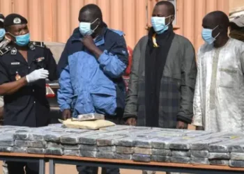 Niger police display seized cocaine bricks during a drug trafficking operation linked to West Africa cocaine routes