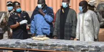 Niger police display seized cocaine bricks during a drug trafficking operation linked to West Africa cocaine routes