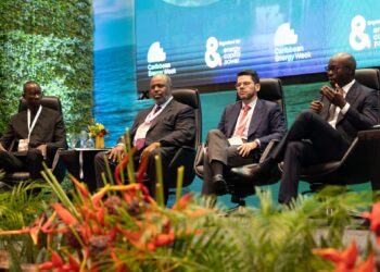 Africa, Caribbean align on energy strategy