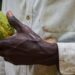 Cocoa farmer holding freshly harvested cocoa pod in West Africa amid falling global prices