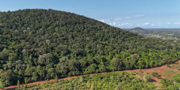 Aerial view of Mrima Hill Forest in Kenya's Kwale County, where rare earth and niobium deposits are at the centre of a proposed US-backed mining agreement