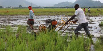 African smallholder farmer using a two-wheel tractor to cultivate farmland, illustrating the productivity improvements highlighted in the OECD-FAO Agricultural Outlook 2026–2035
