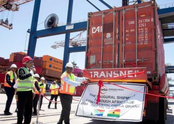South African official beside an AfCFTA export container at Durban port